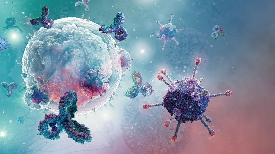 Illustration of antibodies fighting viruses.