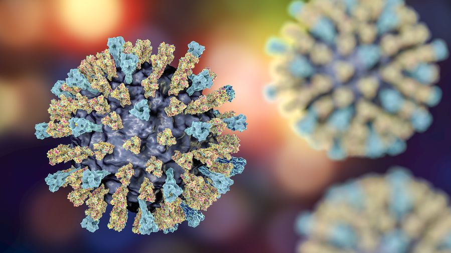 3D illustration showing structure of measles virus with surface glycoprotein spikes hemagglutinin-neuraminidase and fusion protein.