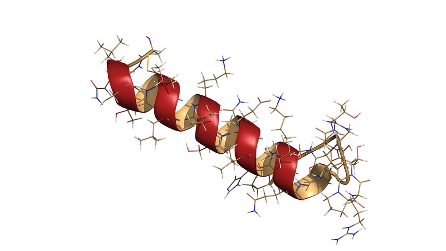 Chemical structure of Salmon calcitonin peptide hormone drug.