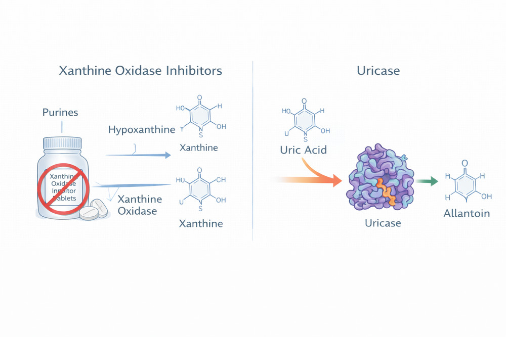 Conceptual comparison of urate-lowering mechanisms
