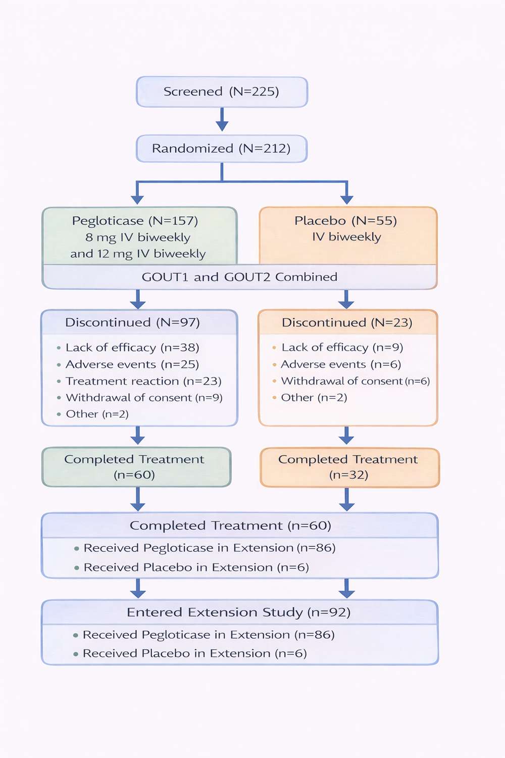 Suggested patient-flow overview for the pivotal clinical program.