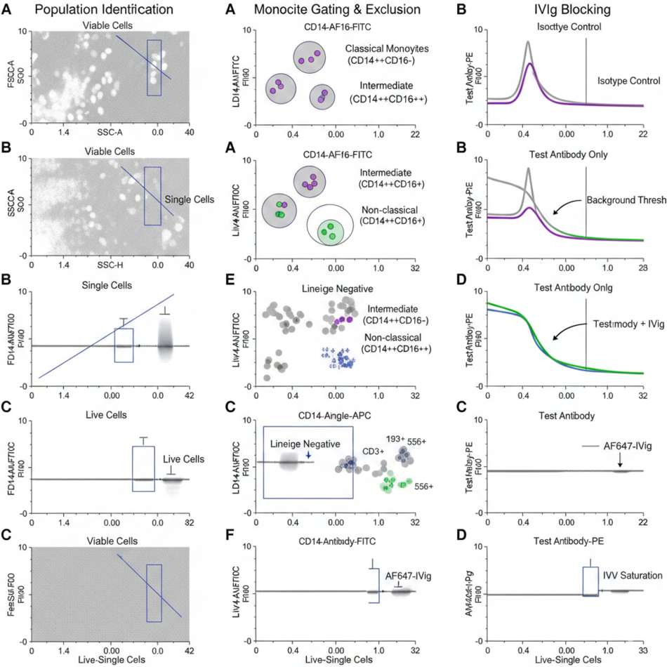 Multi-parameter flow cytometry gating strategy showing IVIg blocking efficacy in human PBMCs