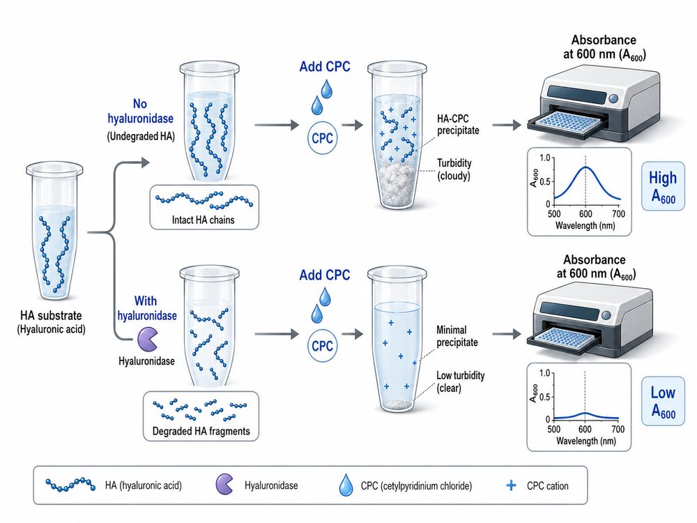 Schematic of turbidimetric hyaluronidase activity assay principle
