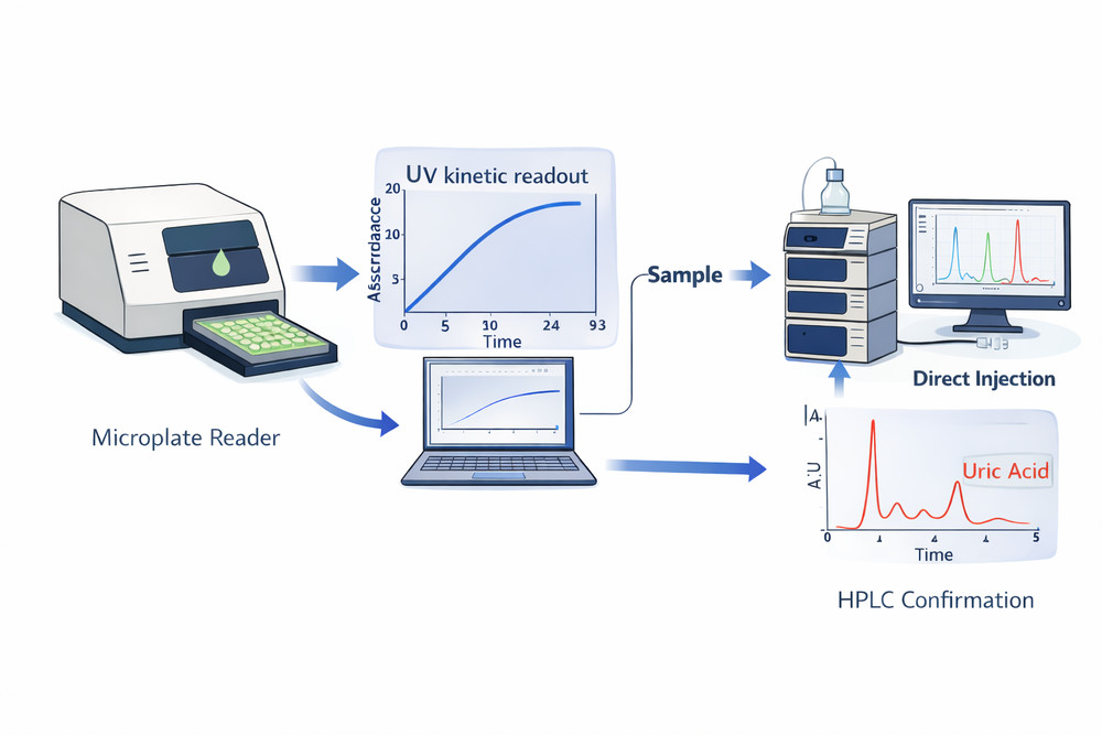 Suggested visual for assay setup, including UV kinetic readout and HPLC confirmation workflow
