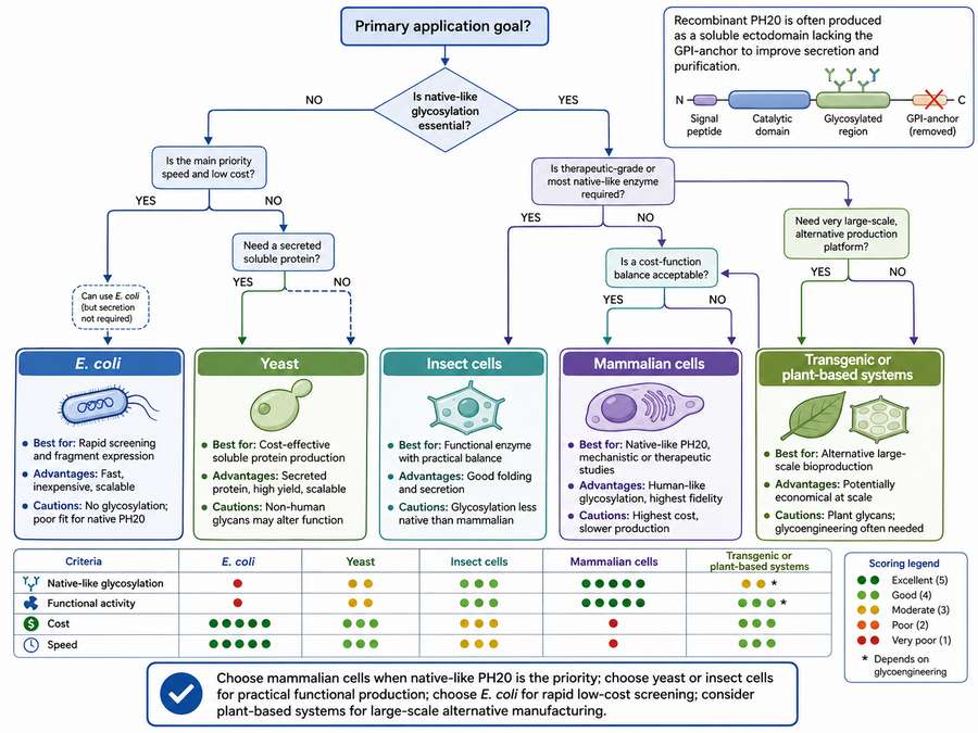 Decision tree for selecting recombinant human hyaluronidase based on research application