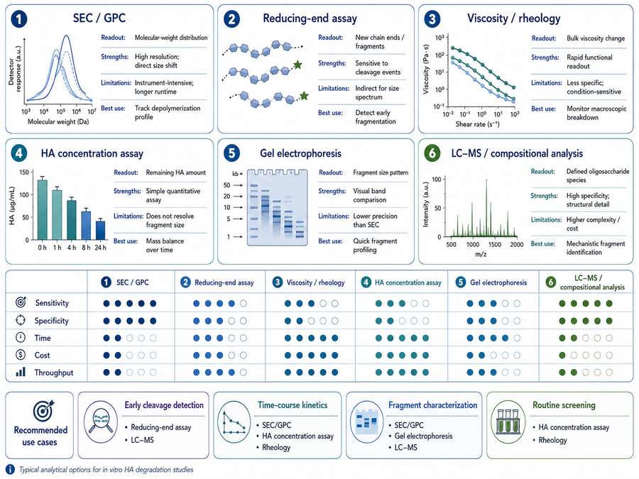 Comparison of analytical readouts for hyaluronan degradation monitoring