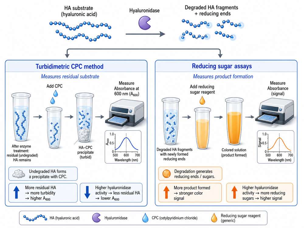 Comparison of signal detection methods for hyaluronidase activity assay