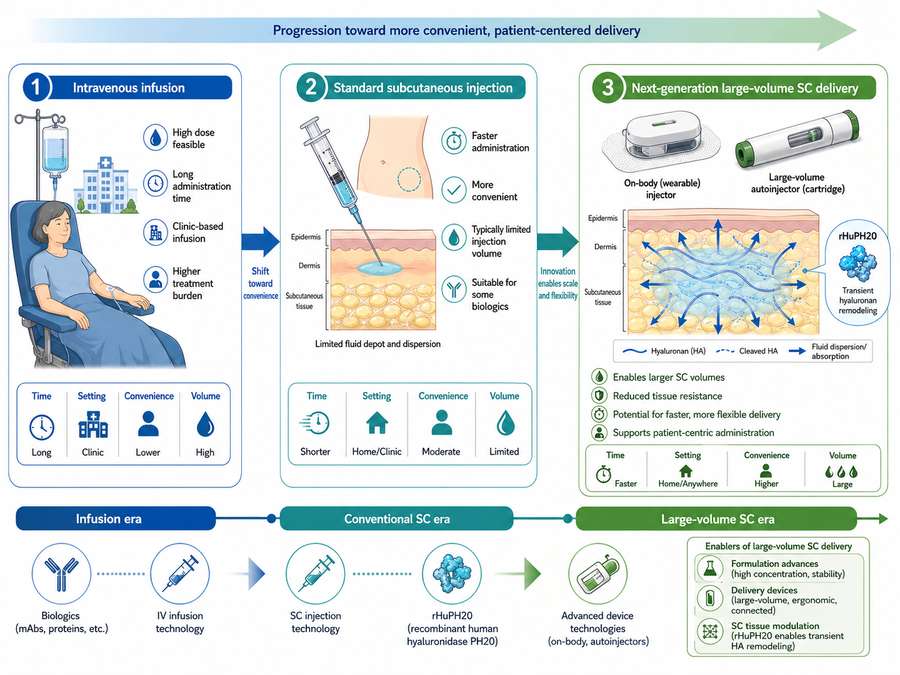 Development roadmap for subcutaneous delivery of high-dose biologics