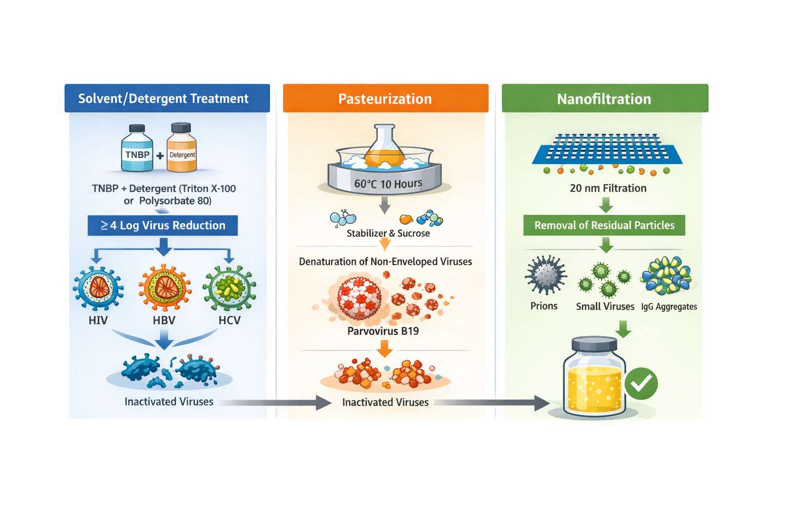 Schematic overview of modern three-tier viral safety strategy in IVIg production