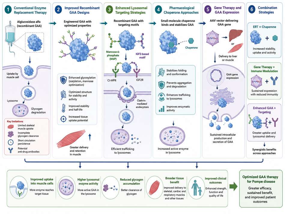 Evolution from alglucosidase alfa to next-generation GAA therapeutic strategies