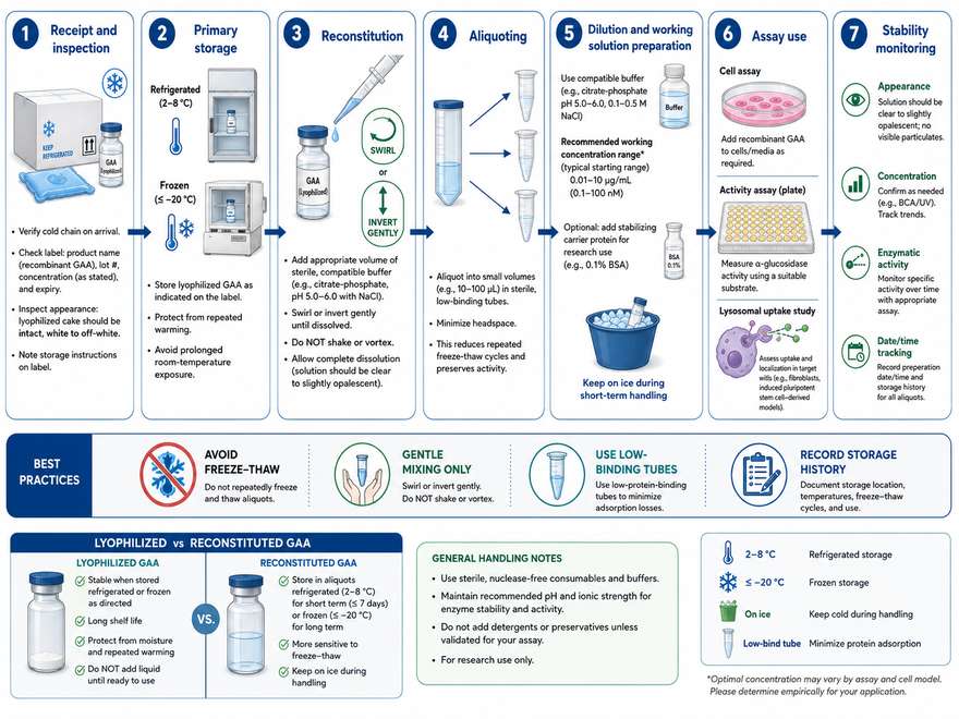 Recombinant GAA storage reconstitution aliquoting and handling workflow
