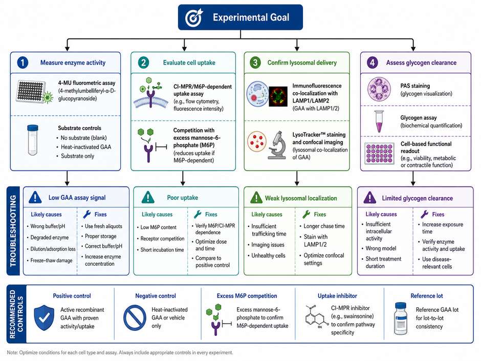 GAA FAQ experimental selection and troubleshooting decision map