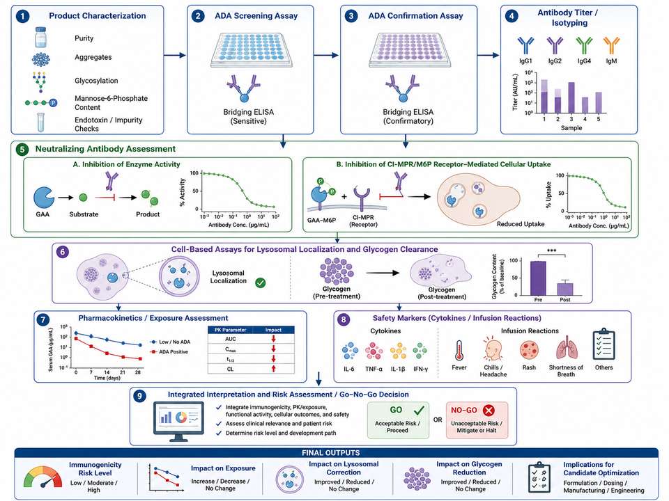 Integrated assay workflow for recombinant GAA immunogenicity evaluation