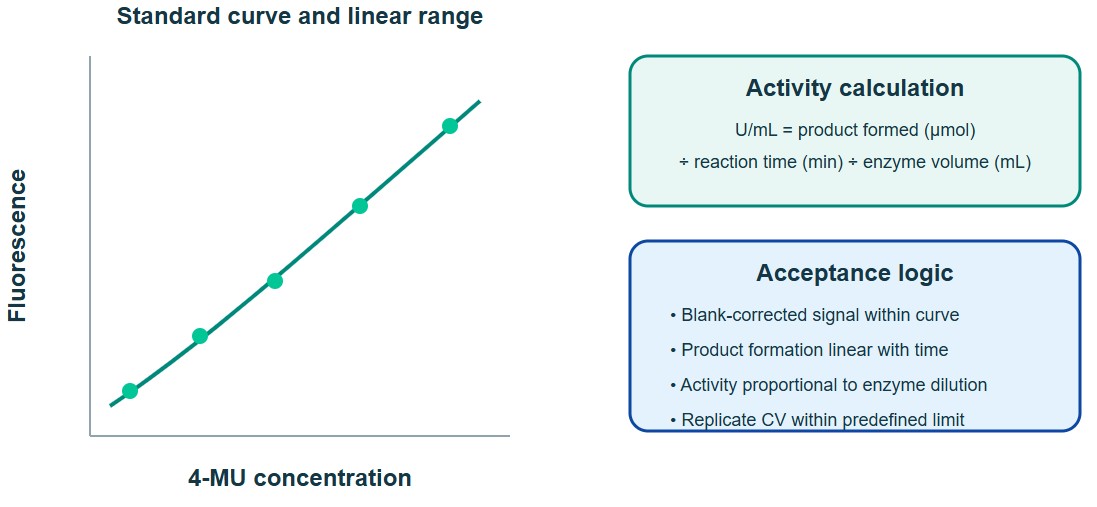 GAA activity assay standard curve and activity calculation logic