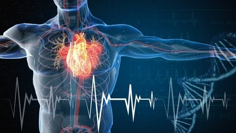 Cardiovascular diseases