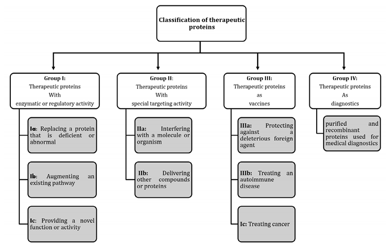 Classification of therapeutic proteins